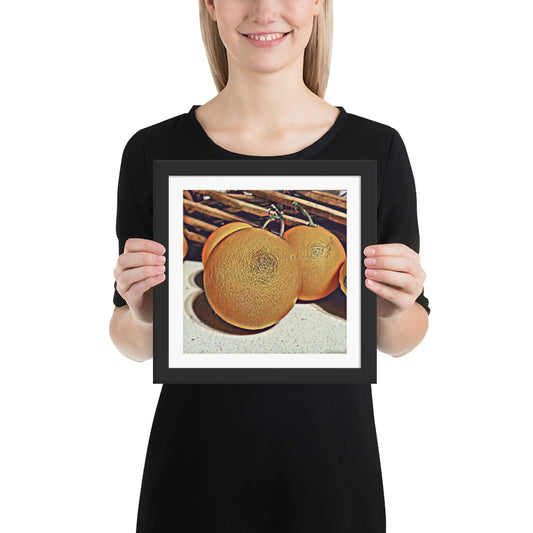 Things that Rhyme with Orange 10x10 Framed Poster